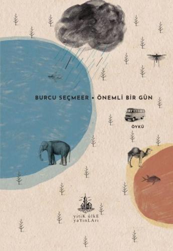 Önemli Bir Gün | Kitap Ambarı