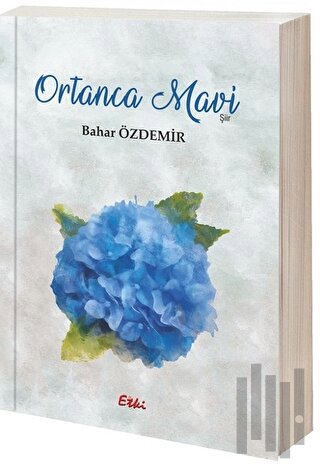 Ortanca Mavi | Kitap Ambarı