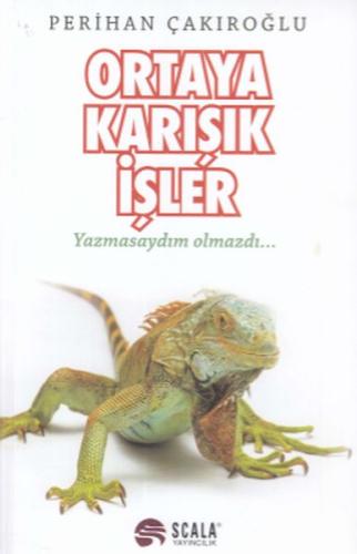 Ortaya Karışık İşler | Kitap Ambarı