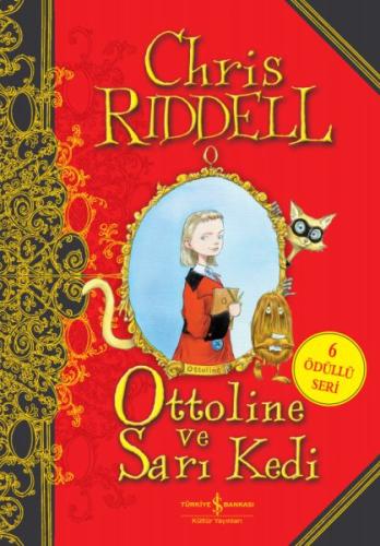 Ottoline ve Sarı Kedi (Ciltli) | Kitap Ambarı