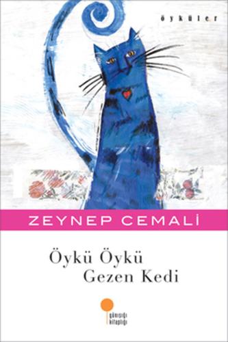 Öykü Öykü Gezen Kedi | Kitap Ambarı