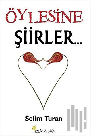 Öylesine Şiirler | Kitap Ambarı