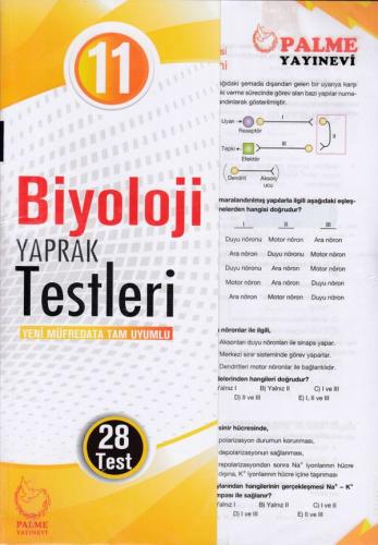 Palme 11. Sınıf Biyoloji Yaprak Test (Yeni) | Kitap Ambarı