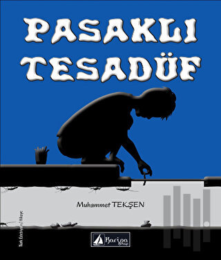 Pasaklı Tesadüf | Kitap Ambarı