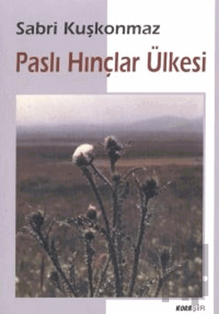 Paslı Hınçlar Ülkesi | Kitap Ambarı