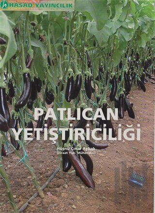 Patlıcan Yetiştiriciliği | Kitap Ambarı