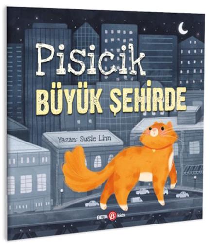 Pisicik Büyük Şehirde | Kitap Ambarı