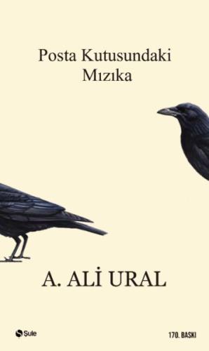 Posta Kutusundaki Mızıka | Kitap Ambarı