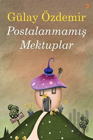 Postalanmamış Mektuplar | Kitap Ambarı