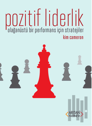 Pozitif Liderlik | Kitap Ambarı