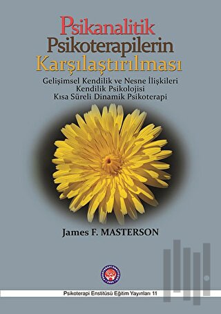 Psikanalitik Psikoterapilerin Karşılaştırılması | Kitap Ambarı