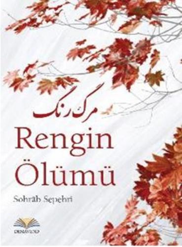 Rengin Ölümü | Kitap Ambarı