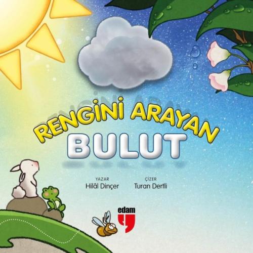 Rengini Arayan Bulut | Kitap Ambarı