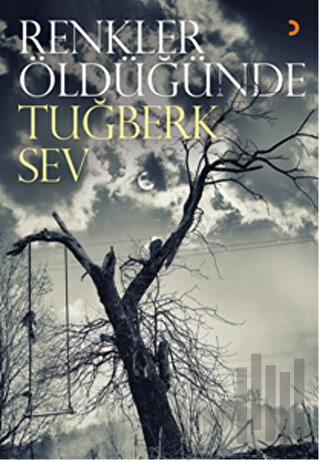 Renkler Öldüğünde | Kitap Ambarı