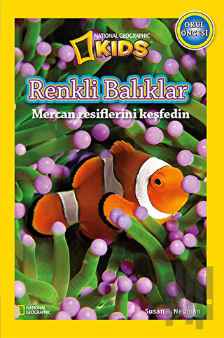 Renkli Balıklar | Kitap Ambarı