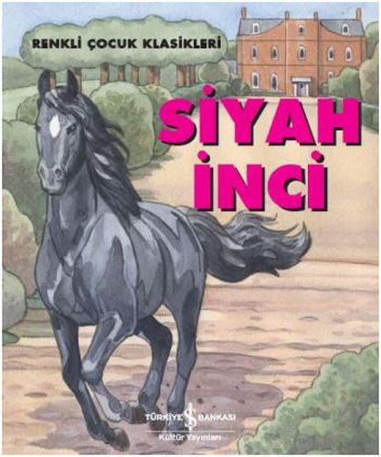 Siyah İnci | Kitap Ambarı