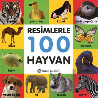 Resimlerle 100 Hayvan (Ciltli) | Kitap Ambarı