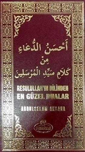 Resulullah'ın Dilinden En Güzel Dualar (Ciltli) | Kitap Ambarı