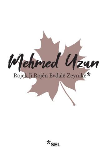 Rojek Ji Rojen Evdale Zeynike | Kitap Ambarı