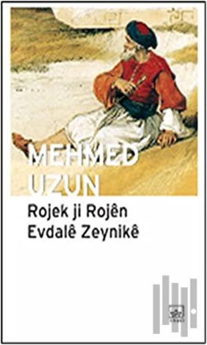 Rojek Ji Rojen Evdale Zeynike | Kitap Ambarı