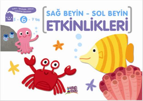 Sağ Beyin - Sol Beyin Etkinlikleri (6 Yaş) | Kitap Ambarı