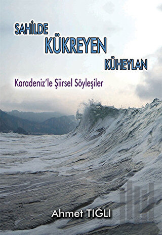 Sahilde Kükreyen Küheylan | Kitap Ambarı