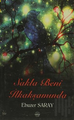 Sakla Beni İlkakşamında | Kitap Ambarı