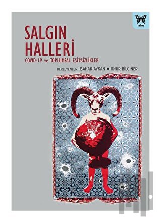 Salgın Halleri | Kitap Ambarı