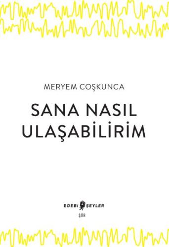 Sana Nasıl Ulaşabilirim | Kitap Ambarı