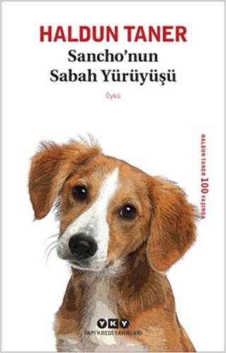 Sancho’nun Sabah Yürüyüşü | Kitap Ambarı