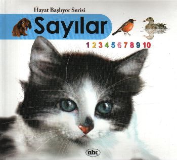 Sayılar (Kitap + İnteraktif CDRom) (Ciltli) | Kitap Ambarı