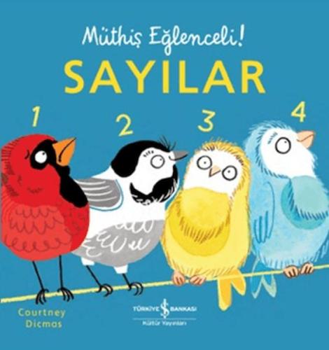 Sayılar - Müthiş Eğlenceli! (Ciltli) | Kitap Ambarı