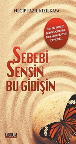 Sebebi Sensin Bu Gidişin | Kitap Ambarı