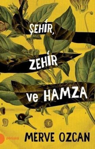 Şehir Zehir ve Hamza | Kitap Ambarı