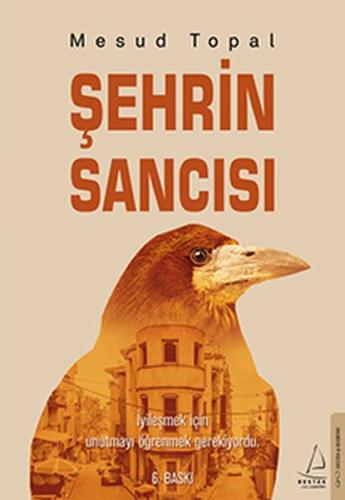 Şehrin Sancısı | Kitap Ambarı