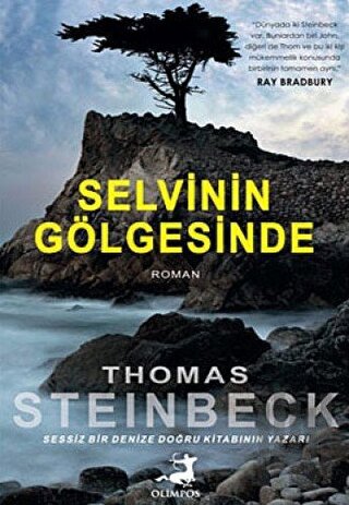 Selvinin Gölgesinde | Kitap Ambarı