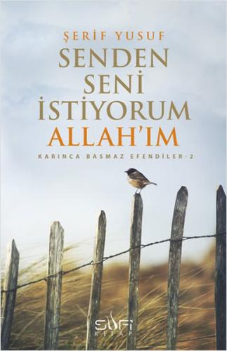 Seni Senden İstiyorum Allah'ım | Kitap Ambarı