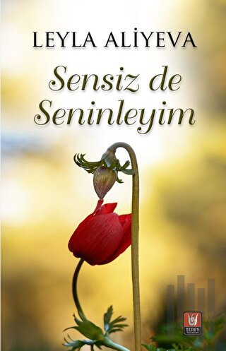 Sensiz de Seninleyim | Kitap Ambarı