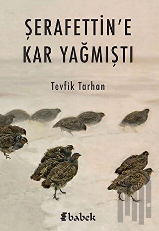 Şerafettin’e Kar Yağmıştı | Kitap Ambarı