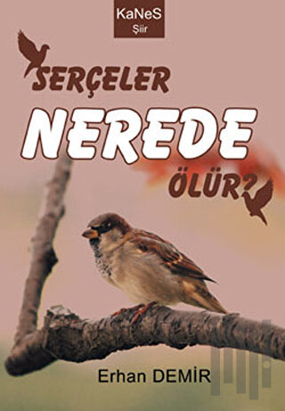 Serçeler Nerede Ölür? | Kitap Ambarı