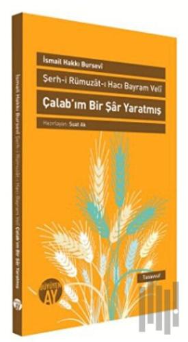 Şerh-i Rümuzat-ı Hacı Bayram Veli - Çalab’ım Bir Şar Yaratmış | Kitap 