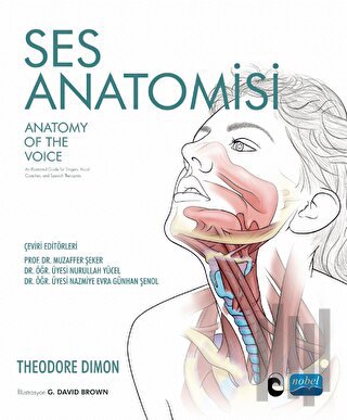 Ses Anatomisi | Kitap Ambarı