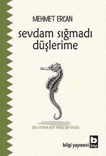 Sevdam Sığmadı Düşlerime | Kitap Ambarı