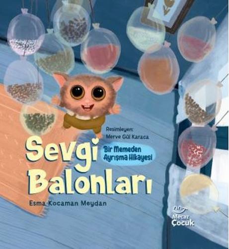 Sevgi Balonları | Kitap Ambarı