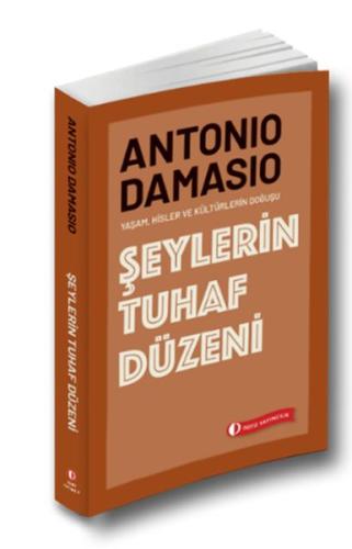 Şeylerin Tuhaf Düzeni | Kitap Ambarı