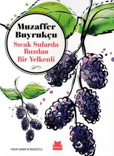 Sıcak Sularda Buzdan Bir Yelkenli | Kitap Ambarı