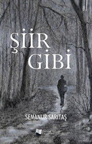 Şiir Gibi | Kitap Ambarı