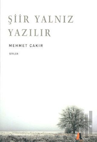 Şiir Yalnız Yazılır | Kitap Ambarı