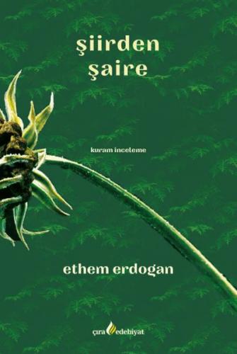 Şiirden Şaire | Kitap Ambarı