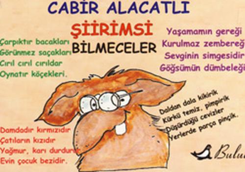 Şiirimsi Bilmeceler | Kitap Ambarı